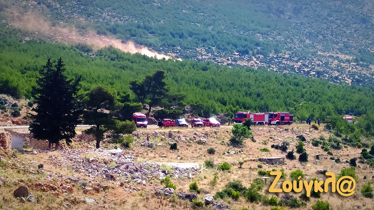 «Δια Πυρός 2022»: Άσκηση αντιμετώπισης δασικής πυρκαγιάς στον Ασπρόπυργο